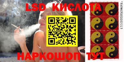 ПСИЛОЦИБИНОВЫЕ ГРИБЫ Тара