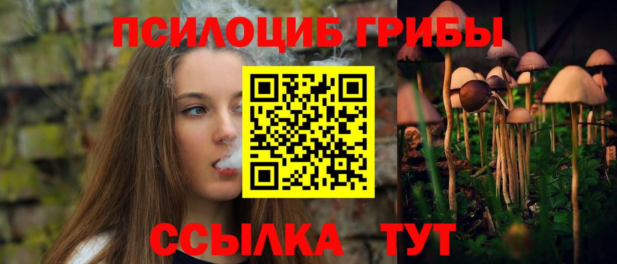 Галлюциногенные грибы MAGIC MUSHROOMS Новошахтинск