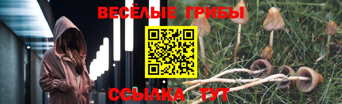 Новошахтинск  Галлюциногенные грибы Psilocybine cubensis  Вход с VPN 